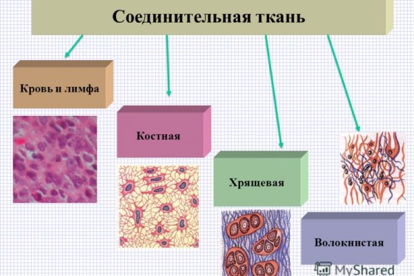 Каталог сайтов даркнет