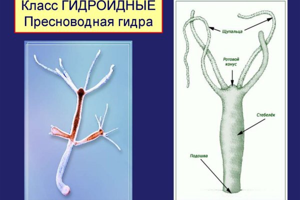 Купить наркотики москва