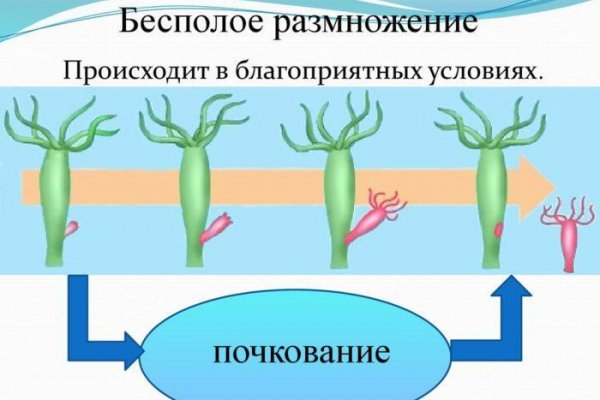 Kraken даркнет gigageek ru